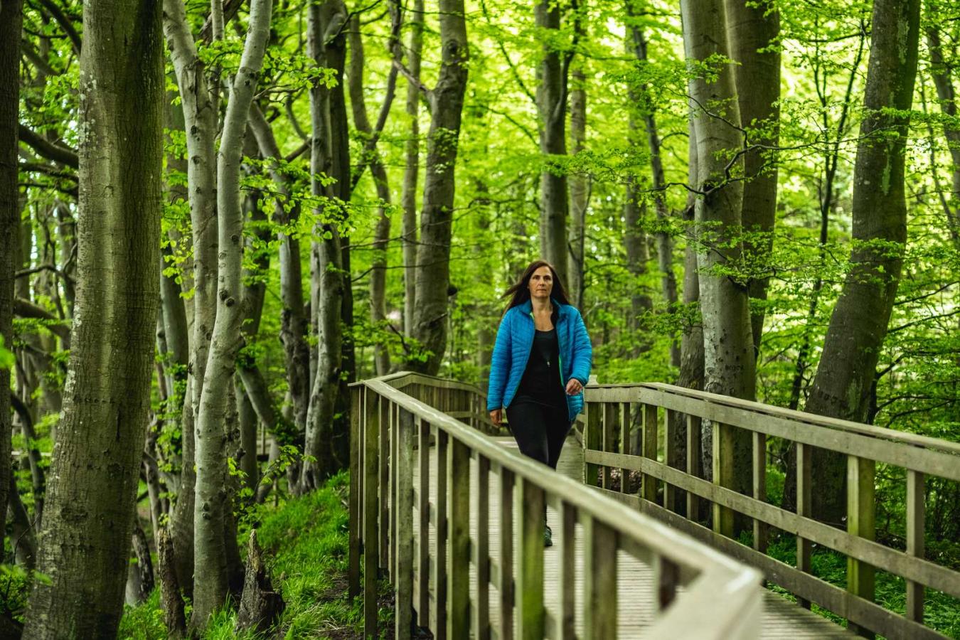 Sascha Bendix - Møns Klint