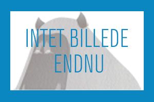 Intet billede endnu