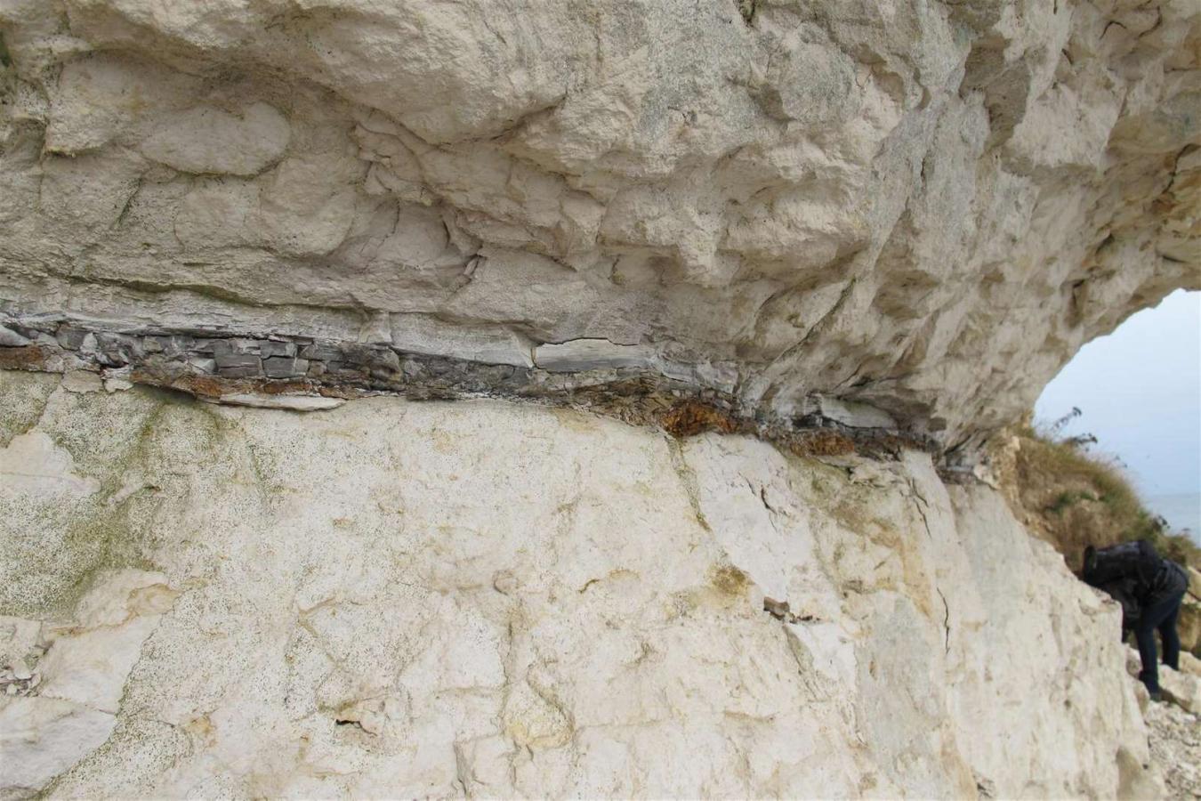 Fiskeler Stevns Klint