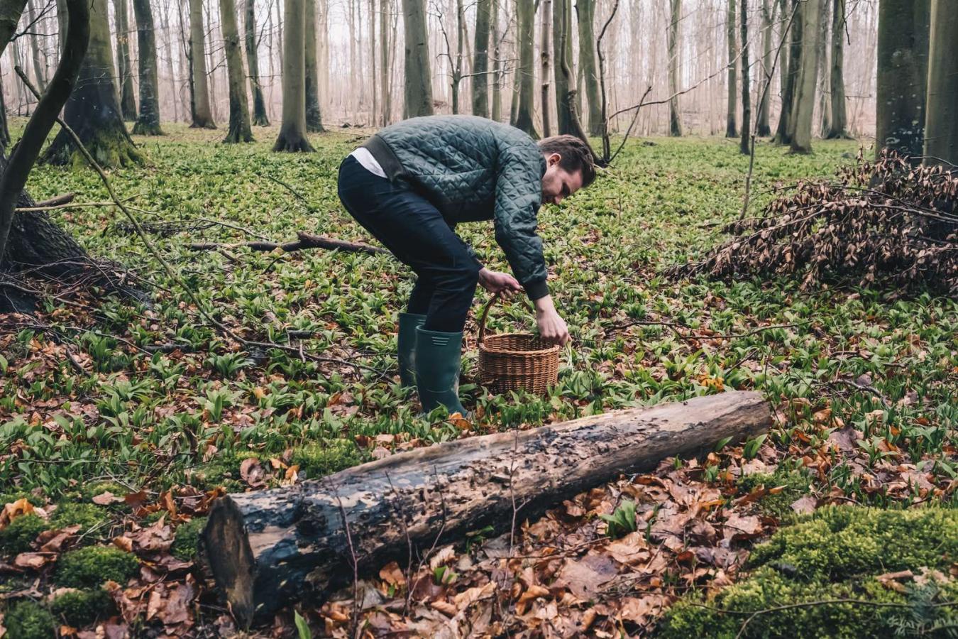 Frederiksminde Skov Jonas Mikkelsen