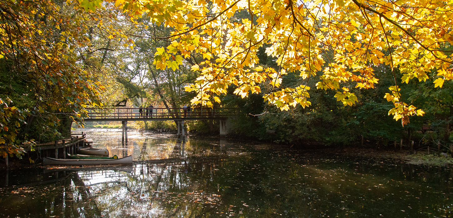 Natur ved Susåen Næstved 