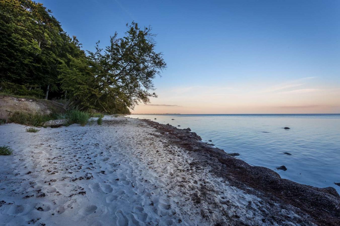 Strandskoven Sibirien ved Faxe Ladeplads