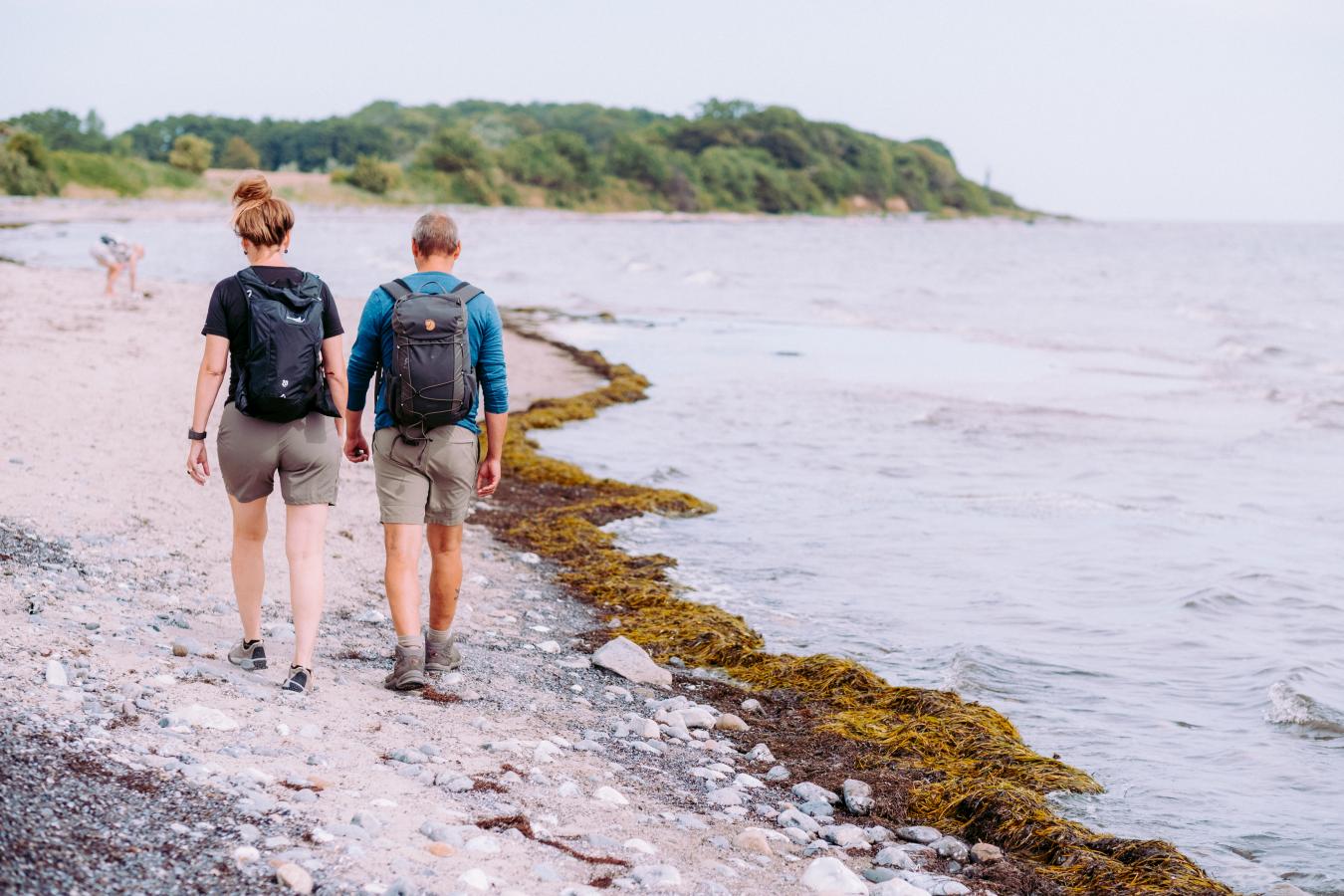 Vandretur ved Møns Klint