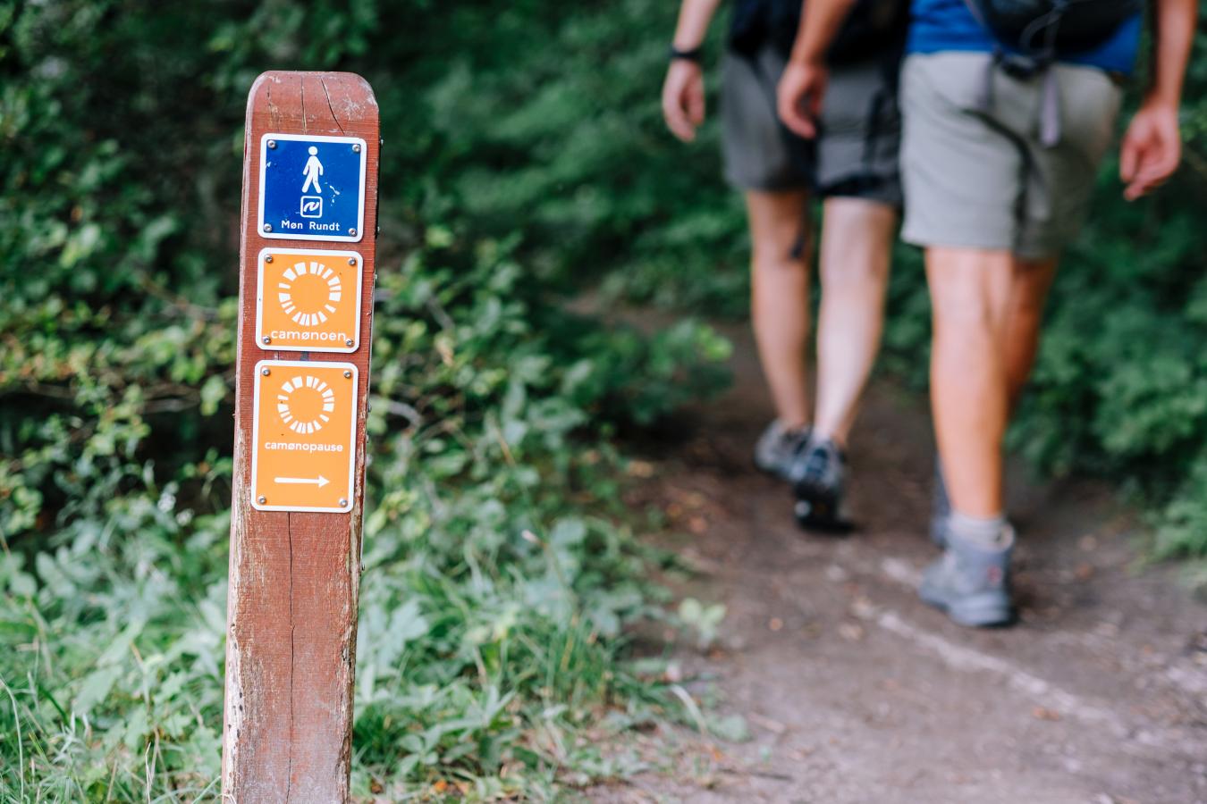 Vandre på Camønoen