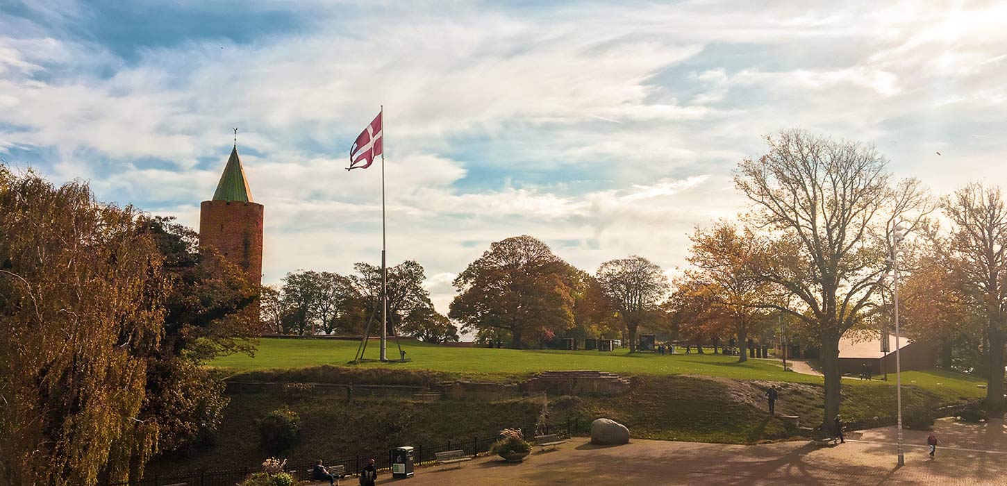 Danmarks Borgcenter - nyt flag, Dannebrog