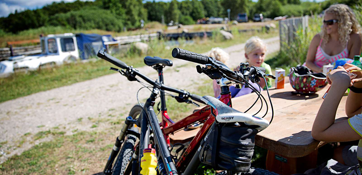 Feddet Strand Resort cykelferie familie