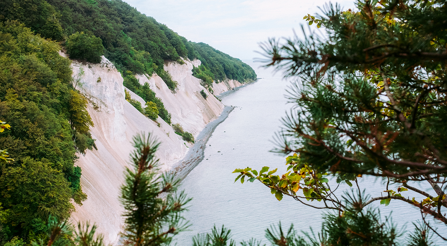 Møns Klint