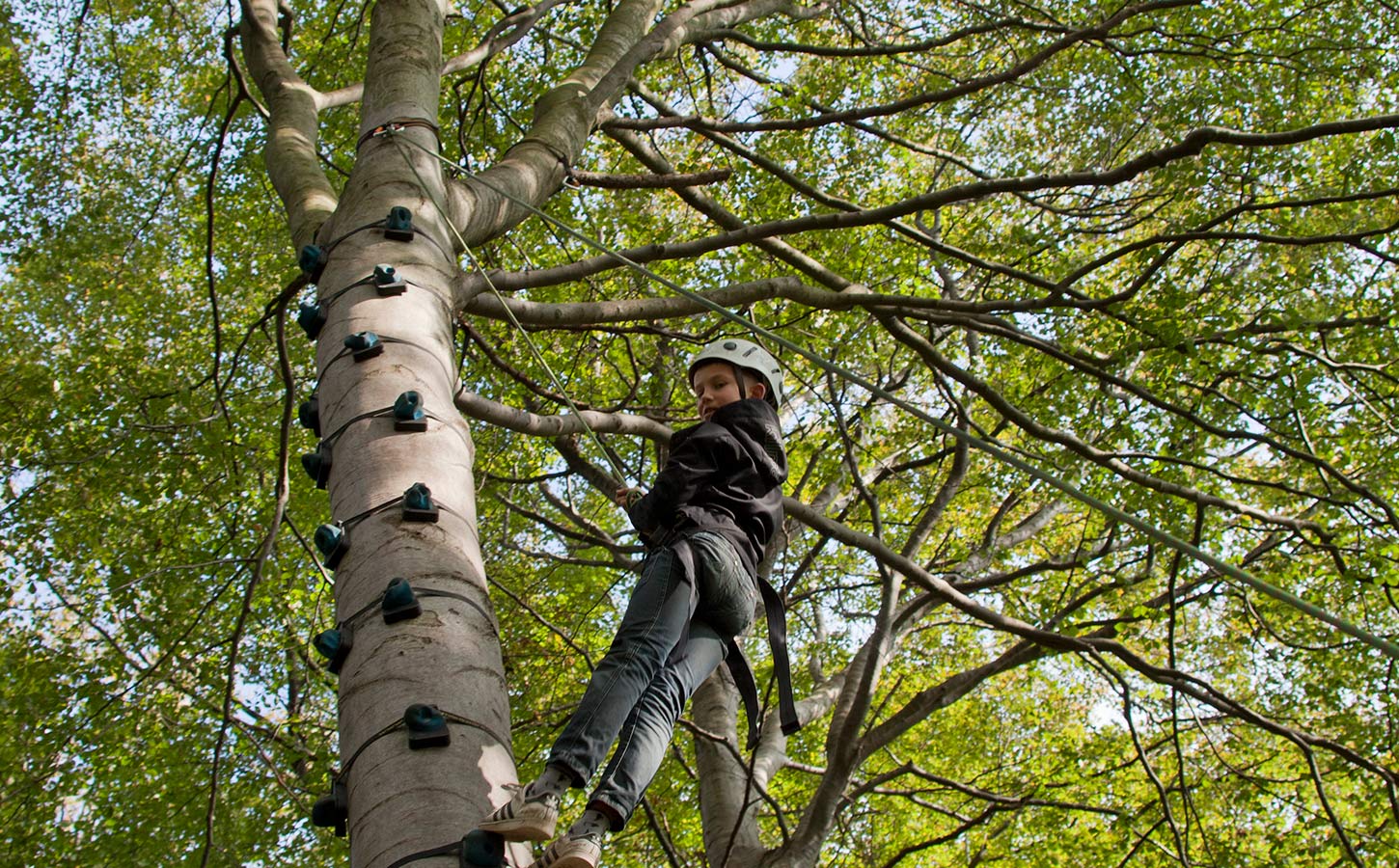 Klatring i klinteskoven