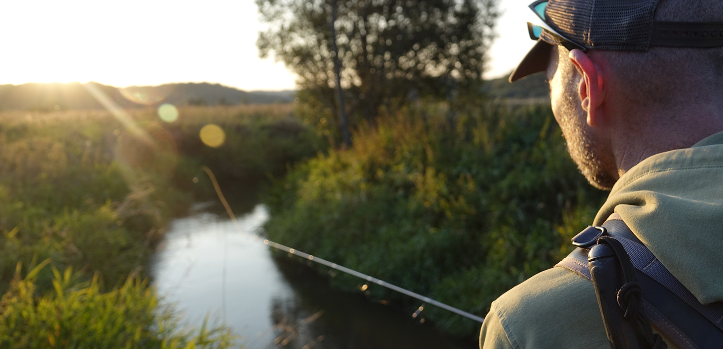 Havørred og laks i åen