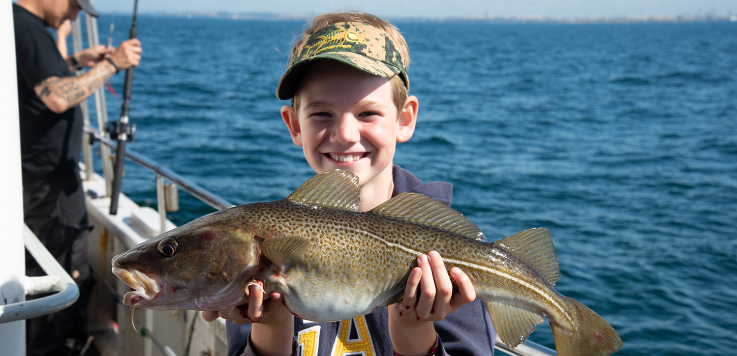Torsk fra mole, havn og båd