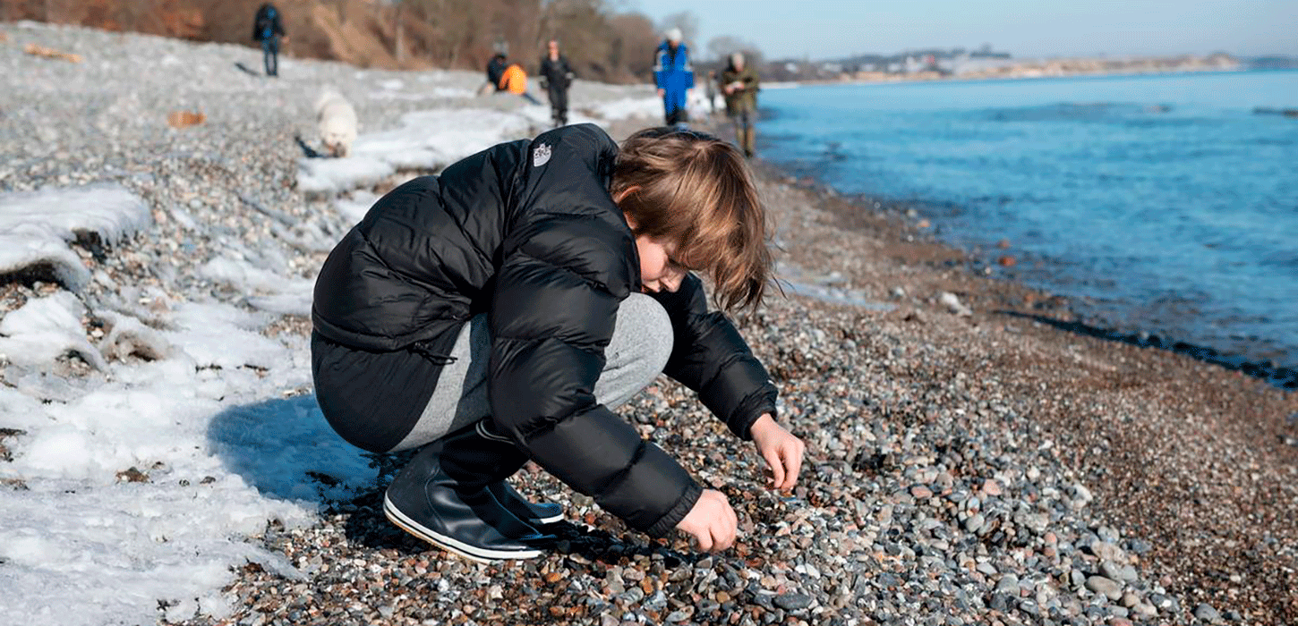Fanefjord skov vinter