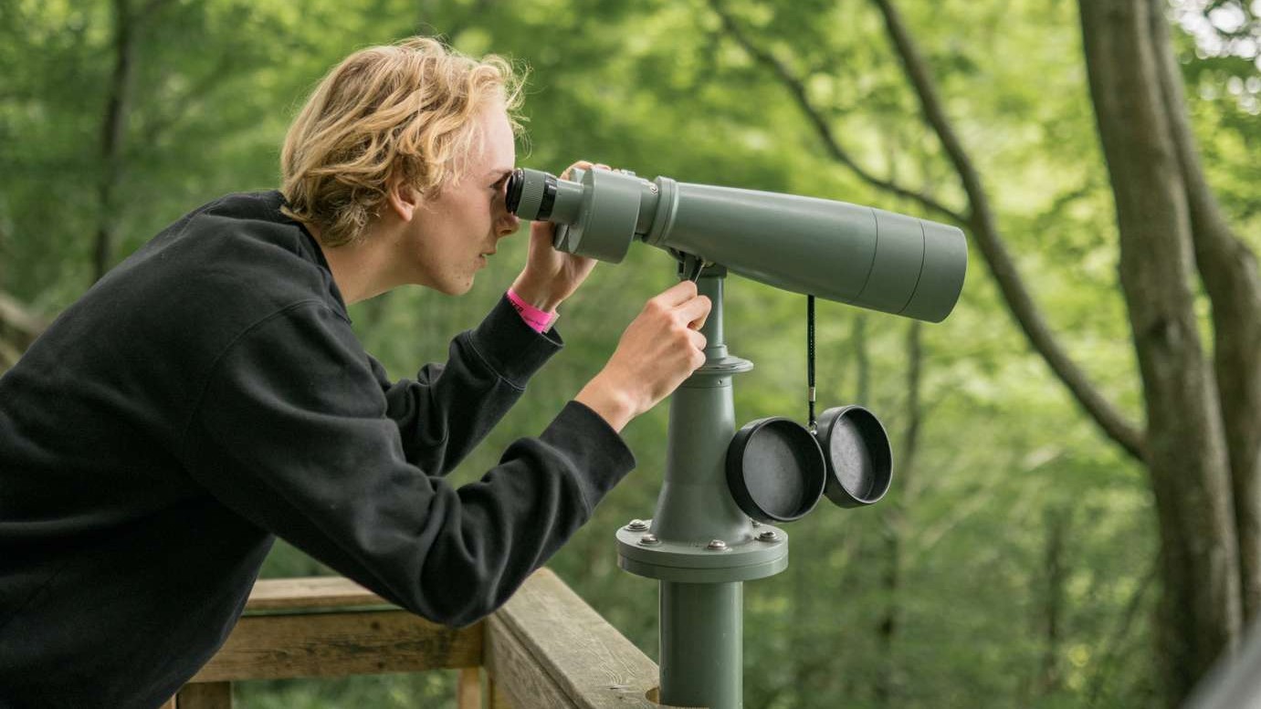Dreng med kikkert i skov