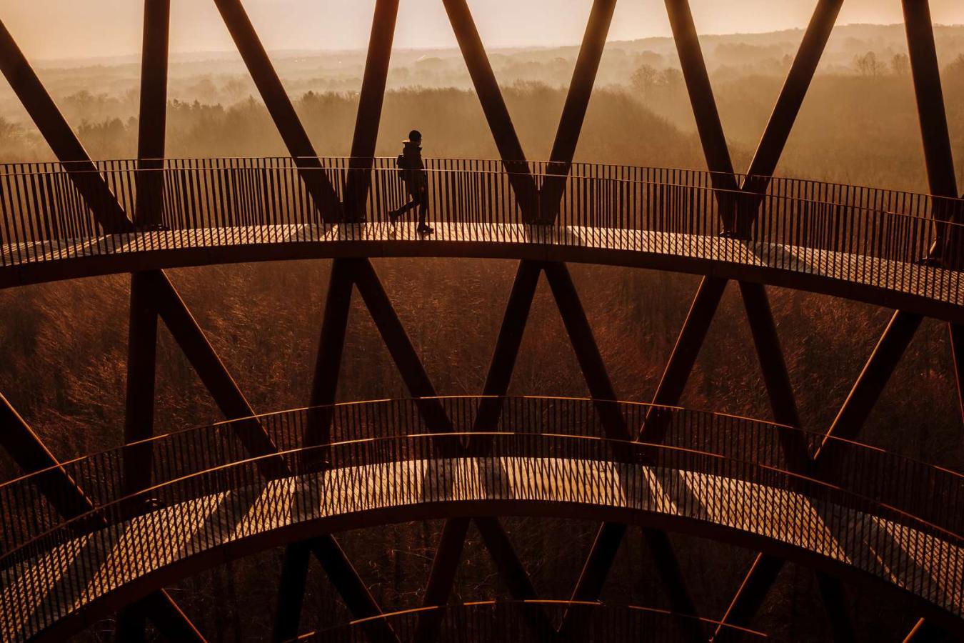 Skovtårnet vinter udsigt