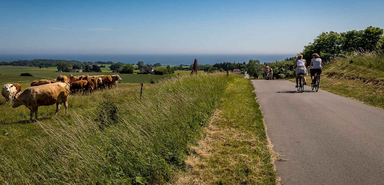 Cyklister på Møn