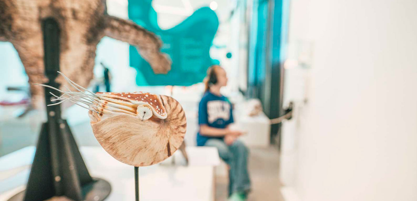 KALK - Dig into the Pre-historic