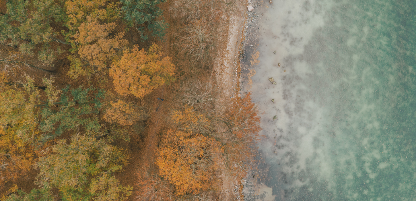 Stevns natur efterår