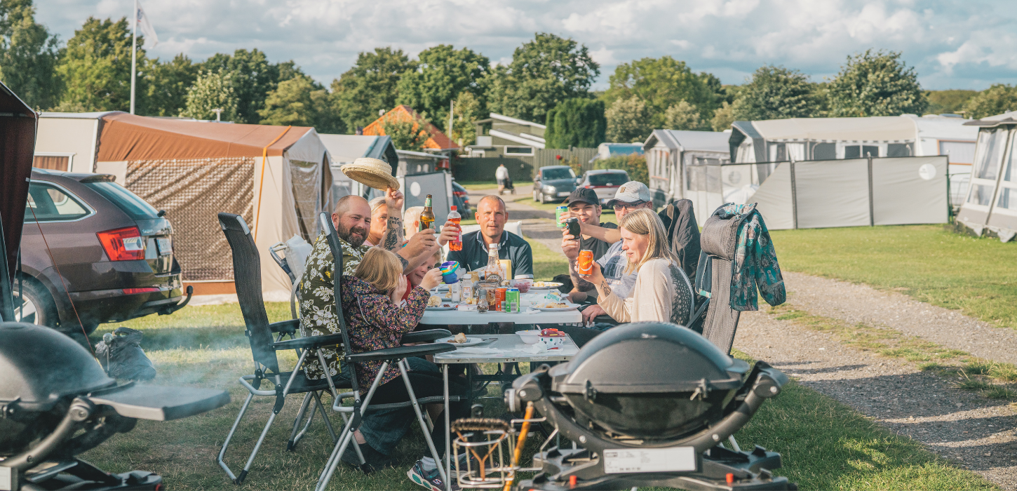 De Hvide Svaner Camping