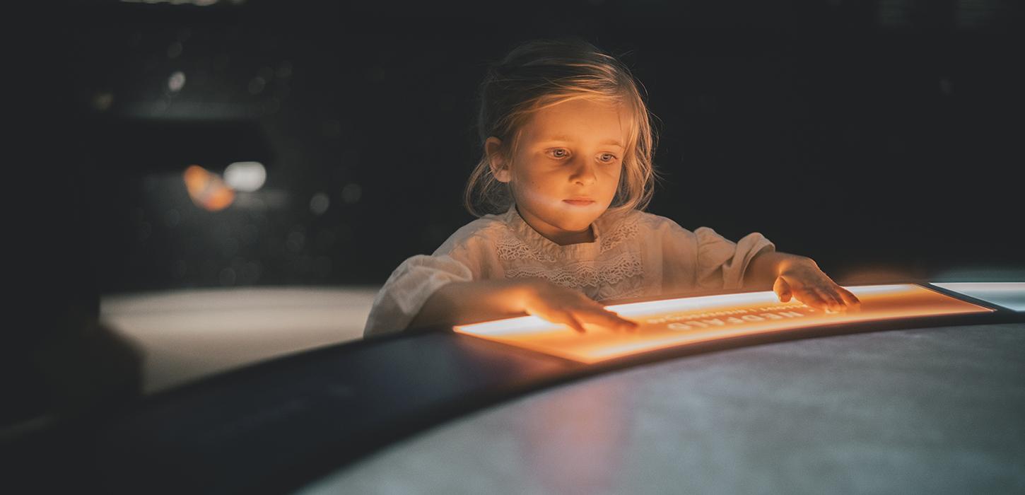 Stevns Klint Experience