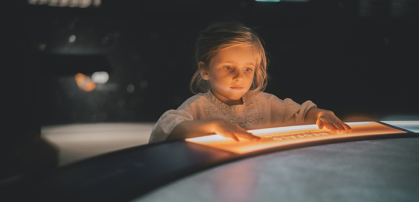 Stevns Klint Experience