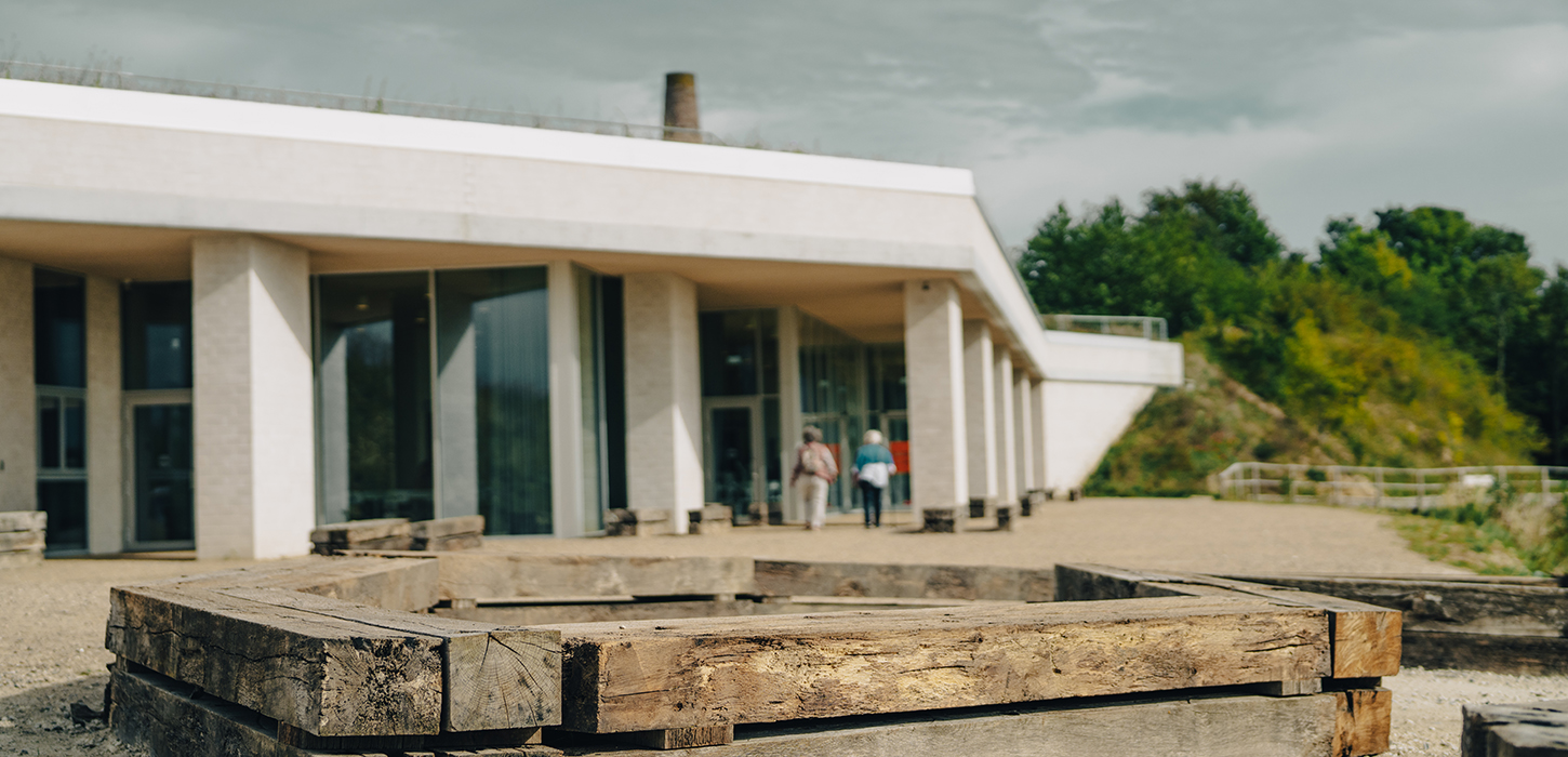 Stevns Klint Experience