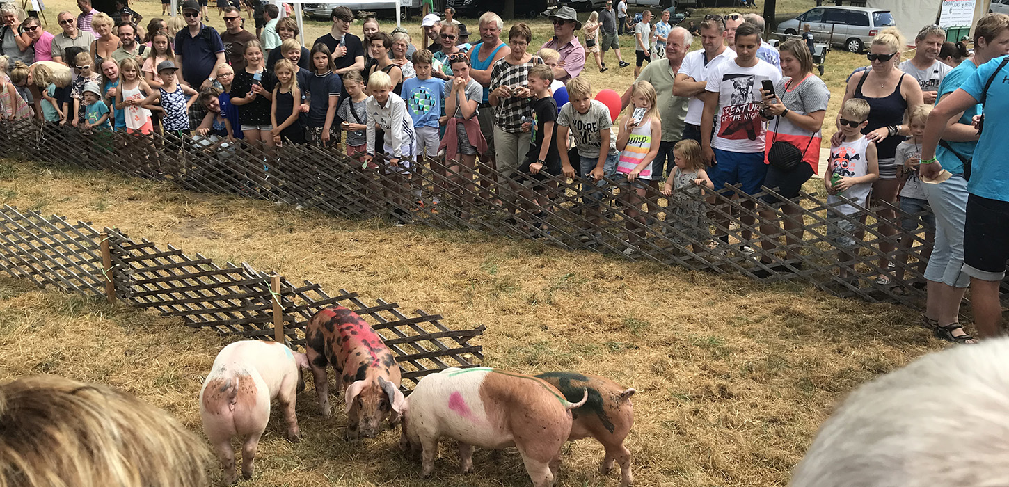 Børn og Dyr på Bregentved