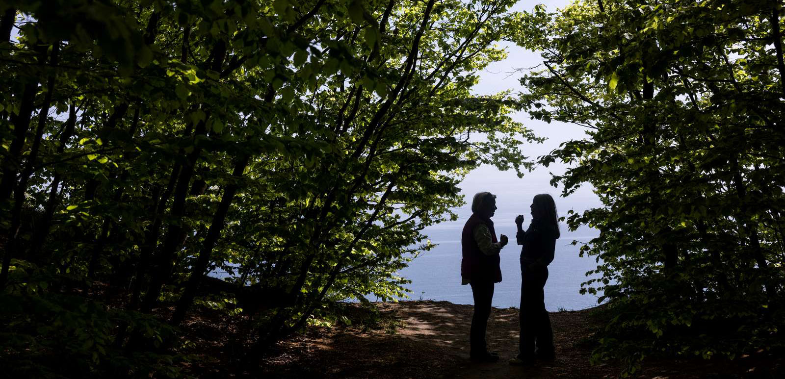 Mønumental - Minna Gross